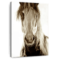 thumbnail image 1 of Elephant Stock Wilbur Cruz Wall Art - Vertical Canvas Wall Art - Hallway Wall Decor - Animal Canvas - Brown And Black Decor By Lisa Dearing - 8" x 12", 1 of 8