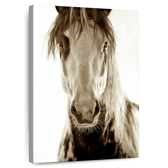 Elephant Stock Wilbur Cruz Wall Art - Vertical Canvas Wall Art - Hallway Wall Decor - Animal Canvas - Brown And Black Decor By Lisa Dearing - 8" x 12"