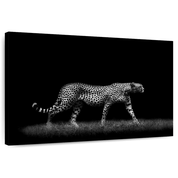Elephant Stock Wild Cat Monochrome Wall Art - Horizontal Canvas Wall Art - Living Room Wall Decor - Animal Canvas - Black And Gray Decor - 45" x 30"