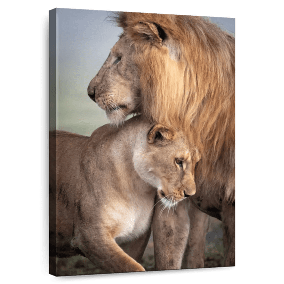 Elephant Stock Wild Love Wall Art - Vertical Canvas Wall Art - Living Room Wall Decor - Animal Canvas - Orange And Brown Decor By Ali Khataw - 8" x 12"