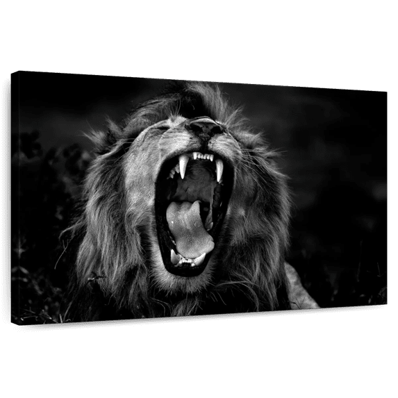 Elephant Stock Wild Untitled I Wall Art - Horizontal Canvas Wall Art - Living Room Wall Decor - Animal Canvas - Black And Gray Decor By Giuseppe Damico - 45" x 30"