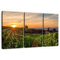 thumbnail image 1 of Elephant Stock Willamette Vineyard Wall Art - Horizontal Multi Panel Canvas - Living Room Wall Decor - Nature Multi Panel - Green And Brown Decor - 45" x 28", 1 of 8