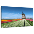 thumbnail image 1 of Elephant Stock Windmill And Tulips Wall Art - Horizontal Canvas Wall Art - Living Room Wall Decor - Nature Canvas - White And Blue Decor - 24" x 16", 1 of 8