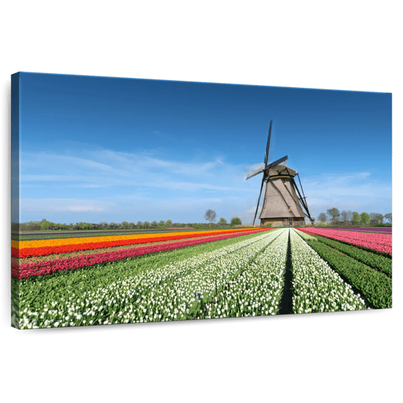 Elephant Stock Windmill And Tulips Wall Art - Horizontal Canvas Wall Art - Living Room Wall Decor - Nature Canvas - White And Blue Decor - 24" x 16"