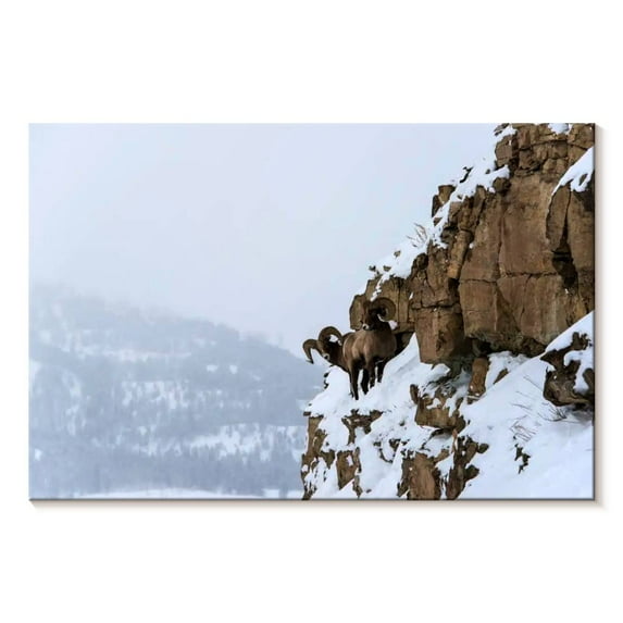 Elephant Stock Winter Bighorn Sheep Wall Art - Horizontal Canvas Wall Art - Living Room Wall Decor - Animal Canvas - White And Brown Decor - 45" x 30"