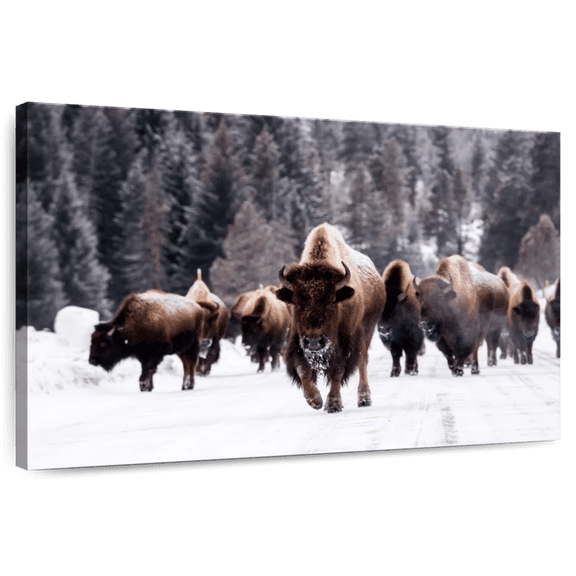 Elephant Stock Winter Bisons Wall Art - Horizontal Canvas Wall Art - Living Room Wall Decor - Animal Canvas - Brown And White Decor - 45" x 30"