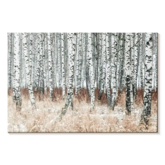 Elephant Stock Winter Season Birch Forest Wall Art - Horizontal Canvas Wall Art - Living Room Wall Decor - Floral And Botanical Canvas - Brown And White Decor - 39" x 26"