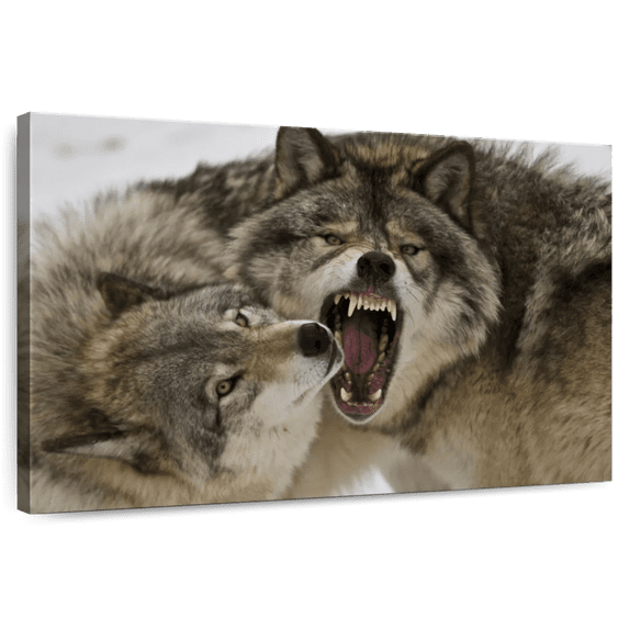 Elephant Stock Wolf Fight Wall Art - Horizontal Canvas Wall Art - Living Room Wall Decor - Animal Canvas - Gray And Brown Decor - 36" x 24"