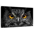 thumbnail image 1 of Elephant Stock Yellow Eyed Owl Wall Art - Horizontal Canvas Wall Art - Living Room Wall Decor - Animal Canvas - Black And Gray Decor - 12" x 8", 1 of 8