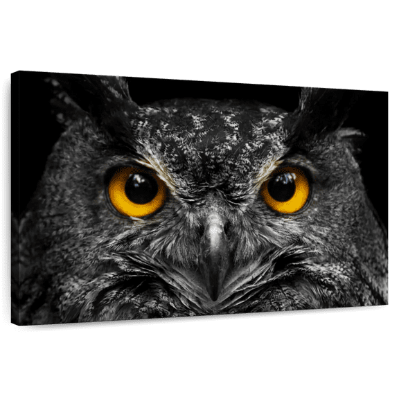 Elephant Stock Yellow Eyed Owl Wall Art - Horizontal Canvas Wall Art - Living Room Wall Decor - Animal Canvas - Black And Gray Decor - 45" x 30"