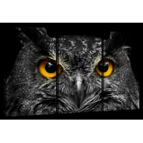 Elephant Stock Yellow Eyed Owl Wall Art - Horizontal Multi Panel Canvas - 3 Pieceliving Room Wall Decor - Photography Animal Multi Panel - Black And Gray Decor - 23" x 14"