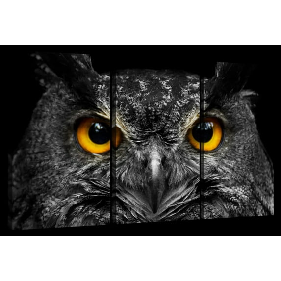 Elephant Stock Yellow Eyed Owl Wall Art - Horizontal Multi Panel Canvas - 3 Pieceliving Room Wall Decor - Photography Animal Multi Panel - Black And Gray Decor - 23" x 14"