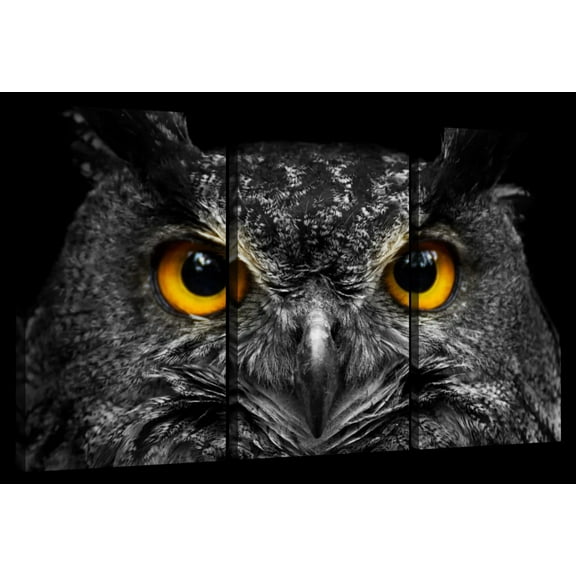 Elephant Stock Yellow Eyed Owl Wall Art - Horizontal Multi Panel Canvas - 3 Pieceliving Room Wall Decor - Photography Animal Multi Panel - Black And Gray Decor - 23" x 14"