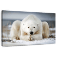 thumbnail image 1 of Elephant Stock Yoga Polar Bear Wall Art - Horizontal Canvas Wall Art - Living Room Wall Decor - Animal Canvas - White And Beige Decor - 48" x 32", 1 of 8
