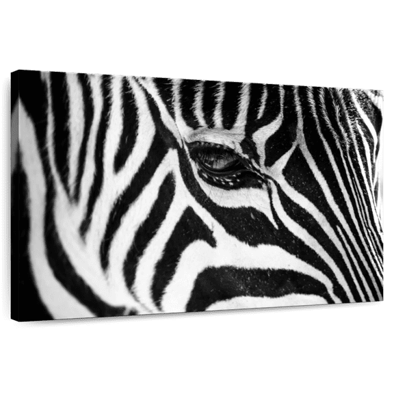 Elephant Stock Zebra Eye Wall Art - Horizontal Canvas Wall Art - Living Room Wall Decor - Animal Canvas - Black And White Decor - 51" x 34"
