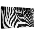 thumbnail image 1 of Elephant Stock Zebra Eye Wall Art - Horizontal Multi Panel Canvas - Living Room Wall Decor - Animal Multi Panel - Black And White Decor - 74" x 48", 1 of 8