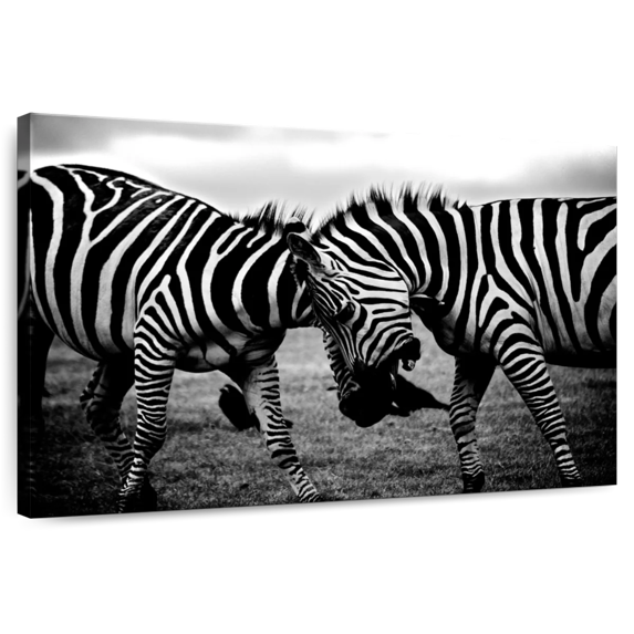 Elephant Stock Zebra Face Off Wall Art - Horizontal Canvas Wall Art - Living Room Wall Decor - Animal Canvas - Black And White Decor - 48" x 32"