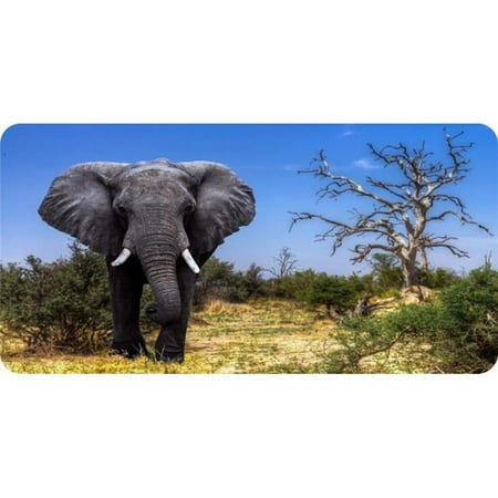 Elephant Strolling The Plains #2 Photo License Plate