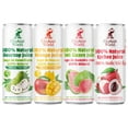 thumbnail image 1 of Elephant World 100% Natural Juices Canned | Assorted Superfruits | Soursop-Mango-Guava-Lychee | NO Sugar added | NOT From Concentrate | NON GMO | 12 Pack, 320 ML, 1 of 9