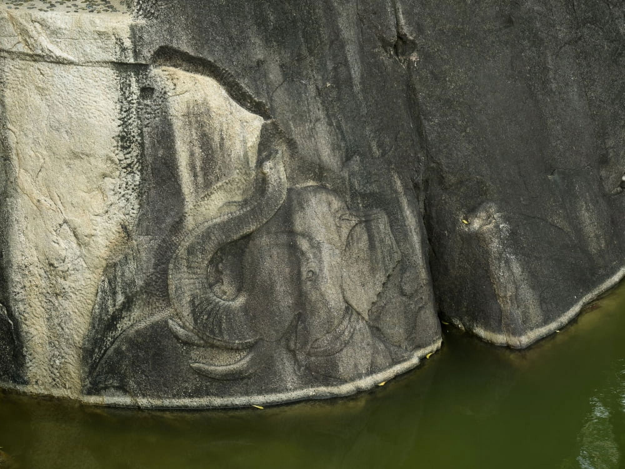 Elephant carved into rock at entrance to Isurumuniya temple Anuradhapura North Central Province Sri Lanka Canvas Art - Panoramic Images (12 x 16)