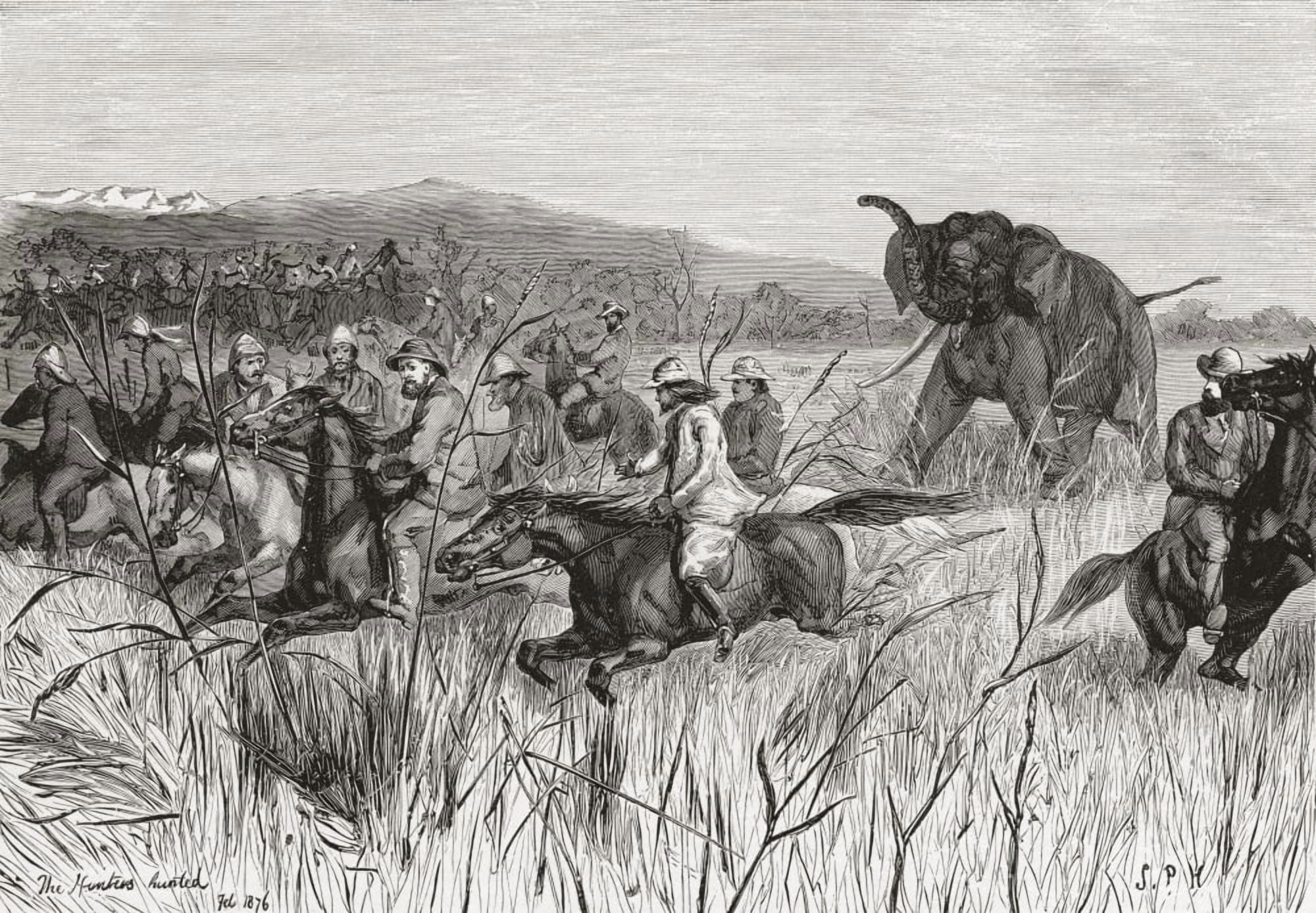 Elephant hunters in the 19th century being charged by an elephant From Edward VII His Life and Times published 1910 Canvas Art - Ken Welsh Design Pics (17 x 11)