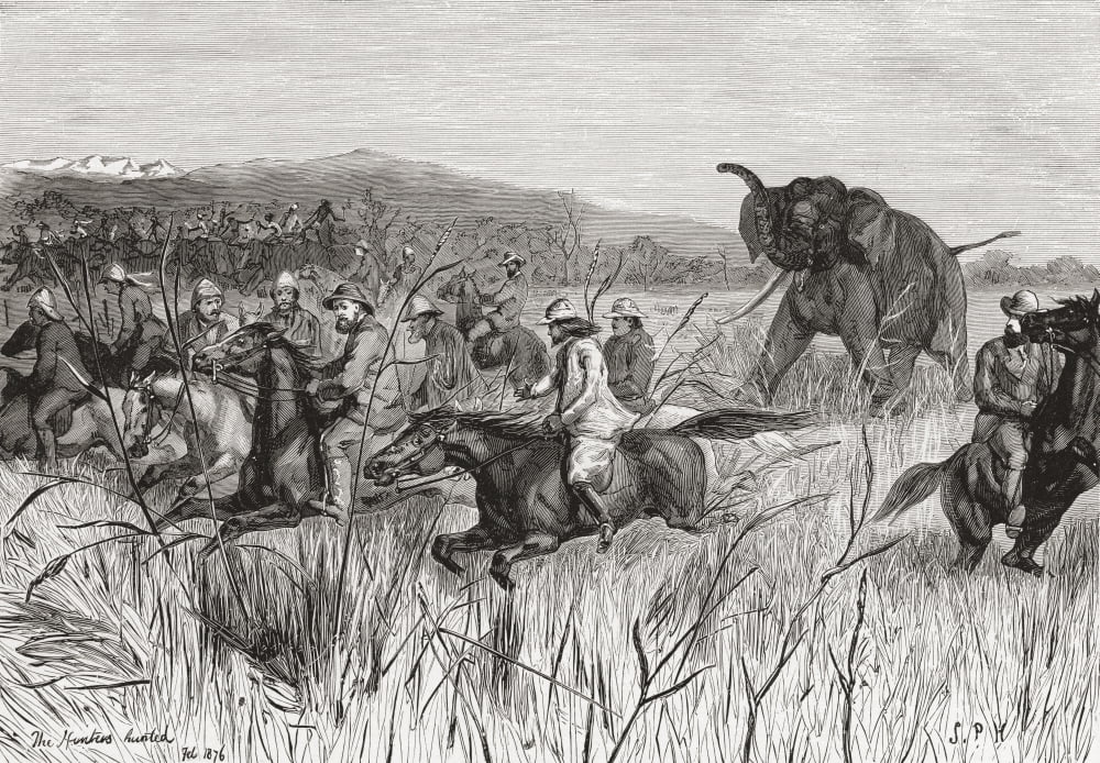 Elephant hunters in the 19th century being charged by an elephant From Edward VII His Life and Times published 1910 Canvas Art - Ken Welsh Design Pics (34 x 22)