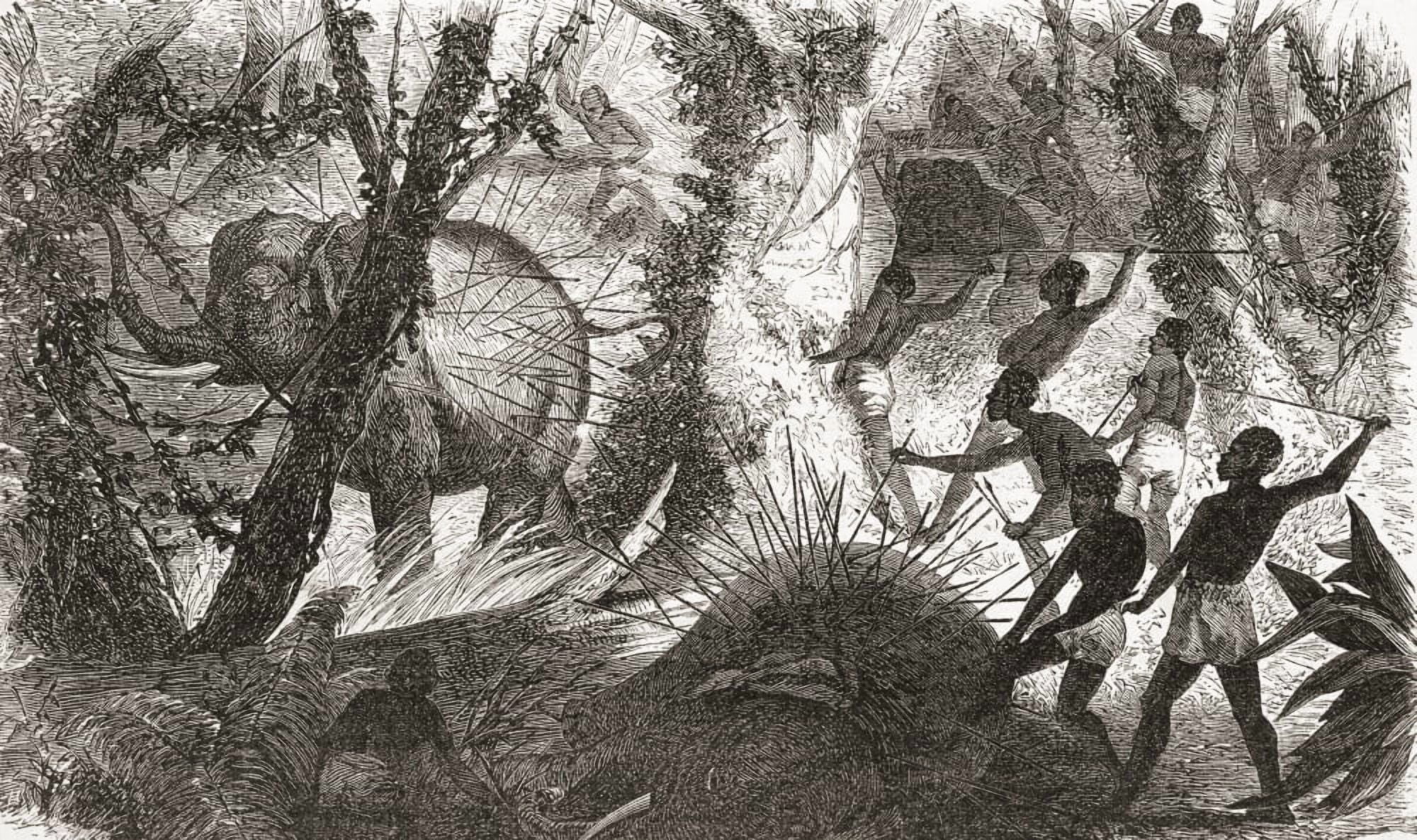 Elephant hunting in Africa in the nineteenth century From El Museo Popular published 1887 Canvas Art - Ken Welsh Design Pics (18 x 10)