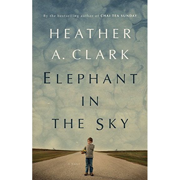 Pre-Owned Elephant in the Sky (Paperback) 177041083X 9781770410831