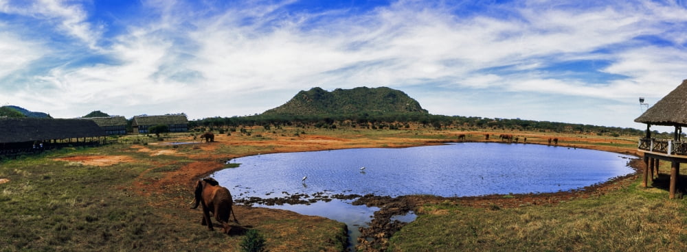 Elephant near a pond in Tsavo East National Park Kenya Canvas Art - Panoramic Images (27 x 9)