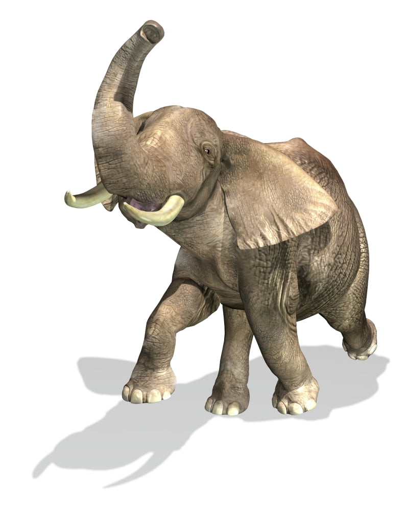 Elephant on white background with drop shadow Canvas Art - Leonello CalvettiStocktrek Images (26 x 32)