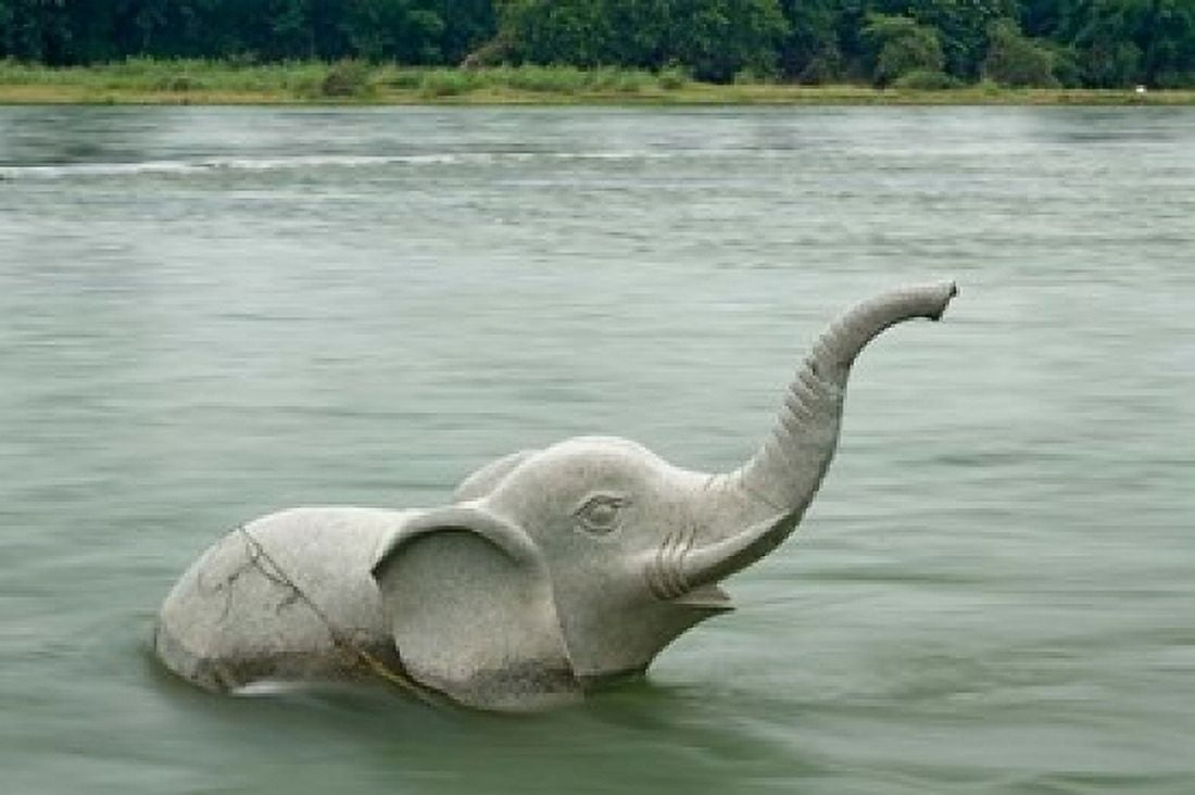 Elephant statue in Li River Elephant Trunk Hill Park Guilin China Canvas Art - Adam Jones DanitaDelimont (35 x 23)