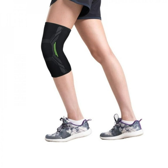 Elephantine-Papyri (Hardcover)