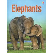 Elephants Hardcover by James MacLaine, Will Dawes, Caitlin O'Connell-Rodwell, Alison... Kelly