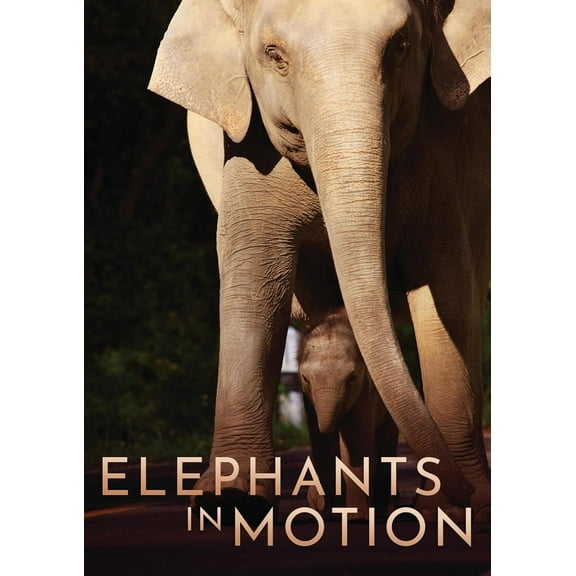 Dreamscape - Elephants In Motion [DIGITAL VIDEO DISC]