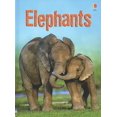 thumbnail image 1 of Pre-Owned Elephants (Usborne Beginners) Paperback, 1 of 1