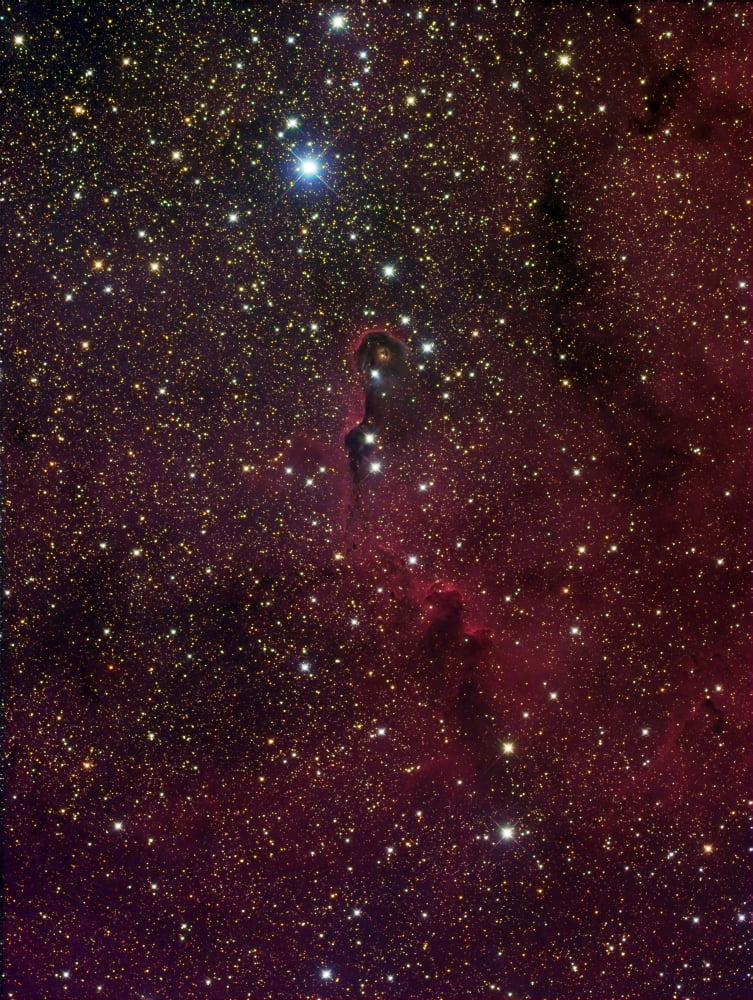 Elephants trunk nebula inside IC 1396 Canvas Art - Filipe AlvesStocktrek Images (13 x 17)