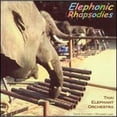 thumbnail image 1 of Pre-Owned Elephonic Rhapsodies (CD 0788572891126) by David Soldier/Richard Lair/Thai Elephant Orchestra, 1 of 1