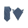 thumbnail image 1 of INSPIRE CHIC Men's Polka Dots Pocket Square With Self-Tied Neck Tie Sets for Business Suit, 1 of 6