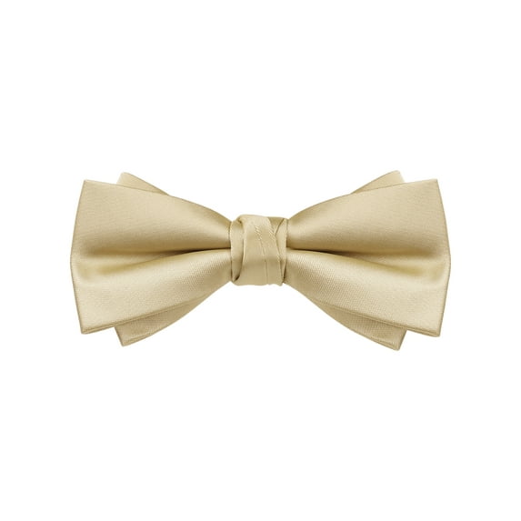 INSPIRE CHIC Mens Solid Color Layered Necktie Pre-tied Bow Ties for Party Wedding Champagne