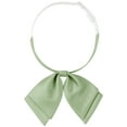 thumbnail image 1 of INSPIRE CHIC Women's Satin Adjustable Pre-Tied Double Layer Collar Bow Tie for Uniform Shirt Light Green One Size, 1 of 5