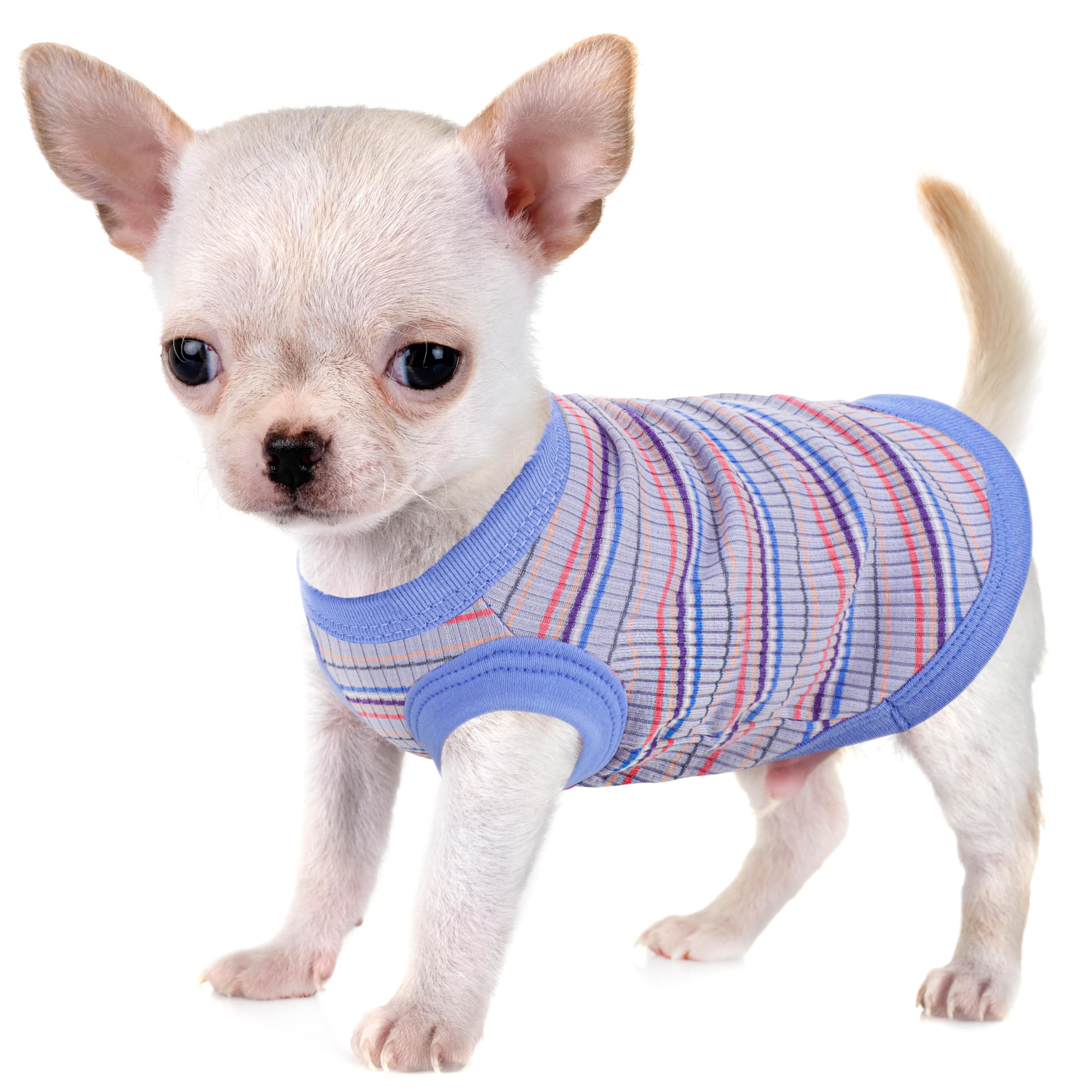 Elevate Your Pet's Comfort and Fashion: Premium 100% Cotton Rib Dog ...