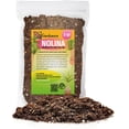 thumbnail image 1 of Elevate Your Nolina Garden with Gardenera Labs's Organic Potting Mix - Tailored for Thriving Nolina Plants and Unique Structure - 2 Quart, 1 of 4