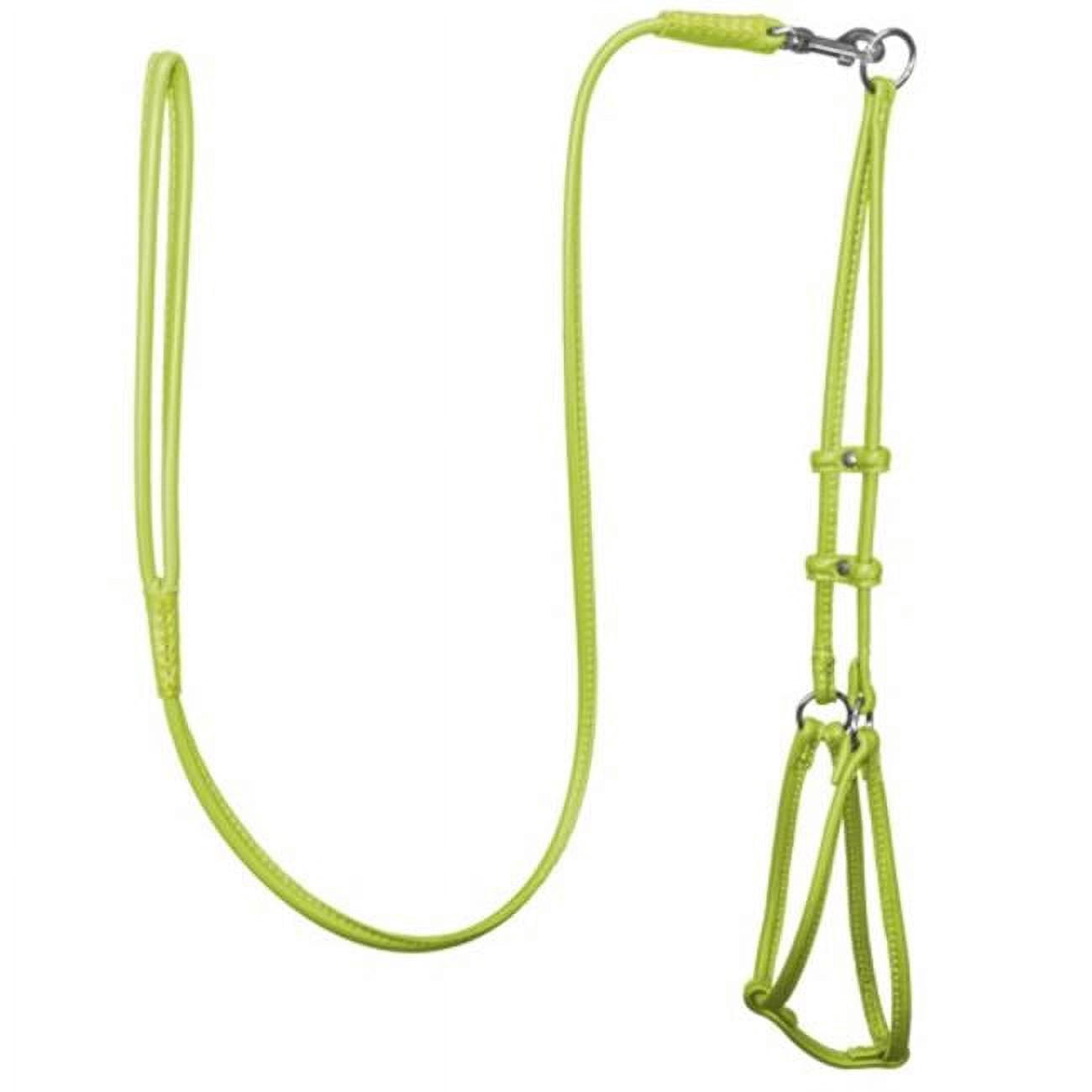 Elevate Your Pet's Style: Soft Leather Round Step-In Harness + Round Lead Combo