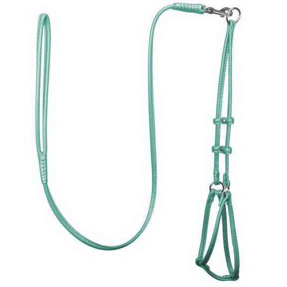 Elevate Your Pet's Style: Soft Leather Round Step-In Harness + Round Lead Combo