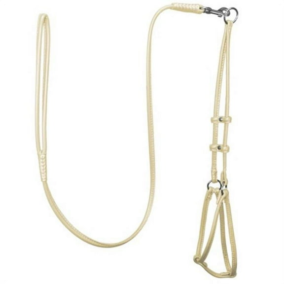 Elevate Your Pet's Style: Soft Leather Round Step-In Harness + Round Lead Combo