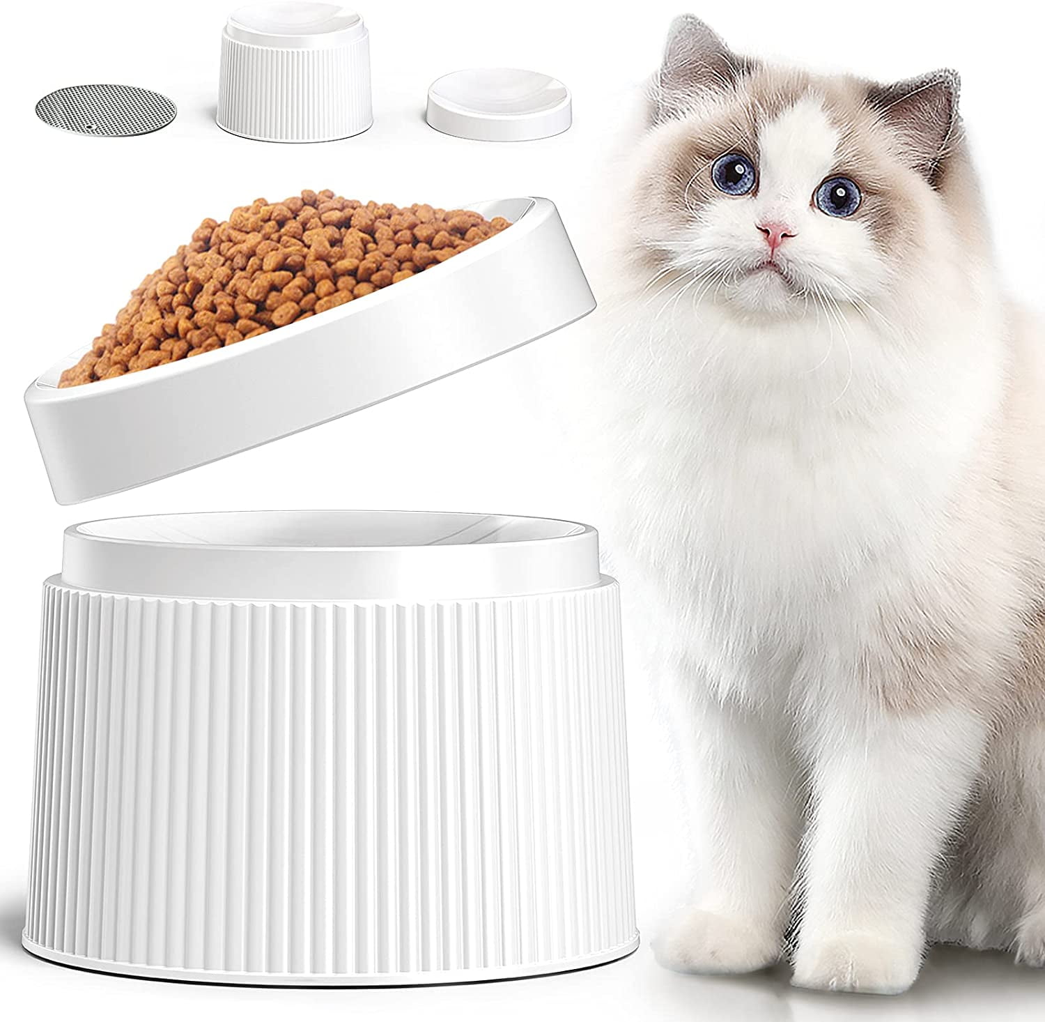 Elevated Bowl Cat Dish, Tilted Pet Feeding Station With Stand For Small