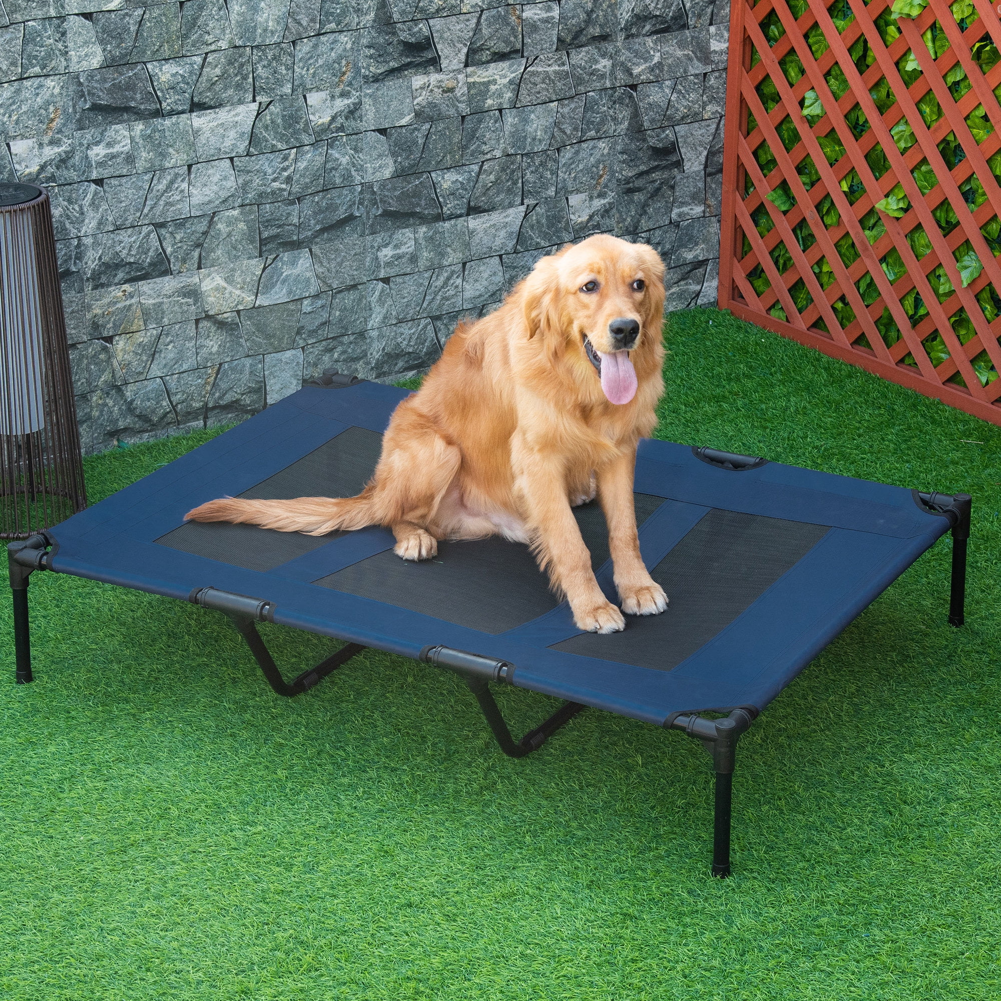 Elevated Breathable Dog Bed Portable Pet Cot w/ Carry Bag Metal Frame Breathable Mesh Indoor and Outdoor