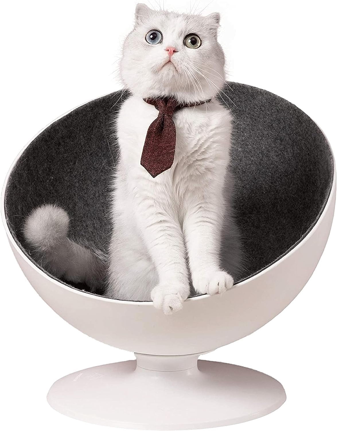 Elevated Cat Bed with 360degree Rotation System and Removable Easy — free download