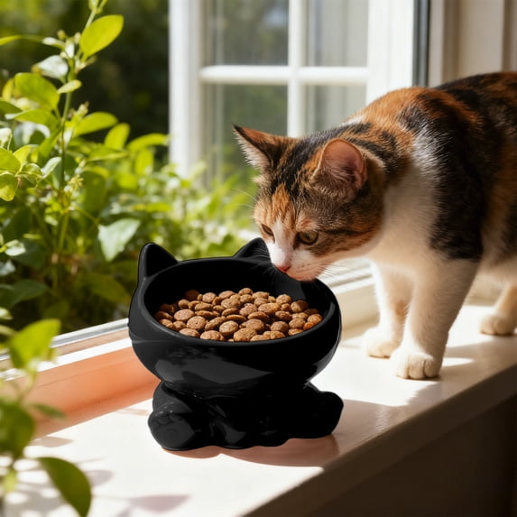 Elevated Cat Bowl, 5.12x4.33in Ceramic Raised Feeder with Wide Shallow Dish, Anti-Whisker Fatigue & Anti-Tip Base for Neck Relief, Easy Clean Food and Water Bowl Set