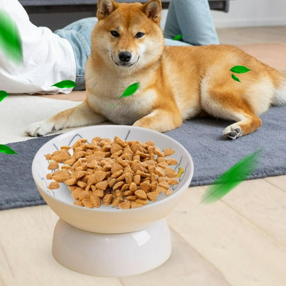 Elevated Cat Bowl Cat Food Plate, Pet Feeding Bowl Water Drinking Bowl Food Container Dog Bowl Pet Bowl Raised Pet Feeder for Kitten Puppy , Yellow